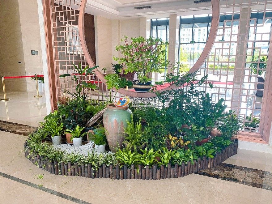 江北企业大厅组合花卉绿植摆放